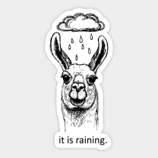 It is raining Sticker